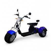 Электроскутер трехколесный CityCoco Skyboard BR-60 PRO VIP 2000W 20AH/60V Trike