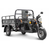 Грузовой электротрицикл Rutrike D4 1800 60V1500W Черный